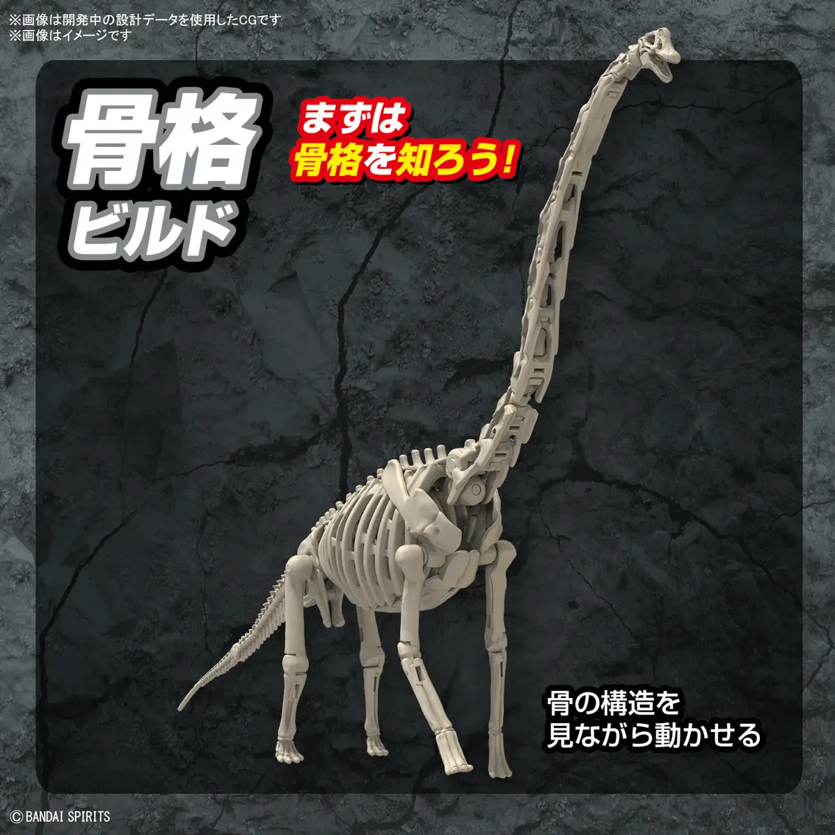 Mô hình lắp ráp khủng long Plannosaurus Brachiosaurus - BANDAI