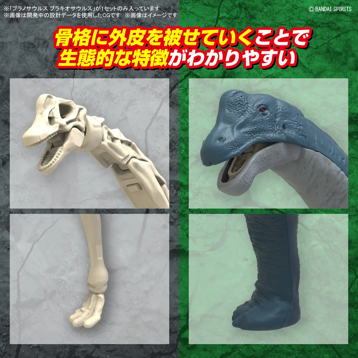 Mô hình lắp ráp khủng long Plannosaurus Brachiosaurus - BANDAI