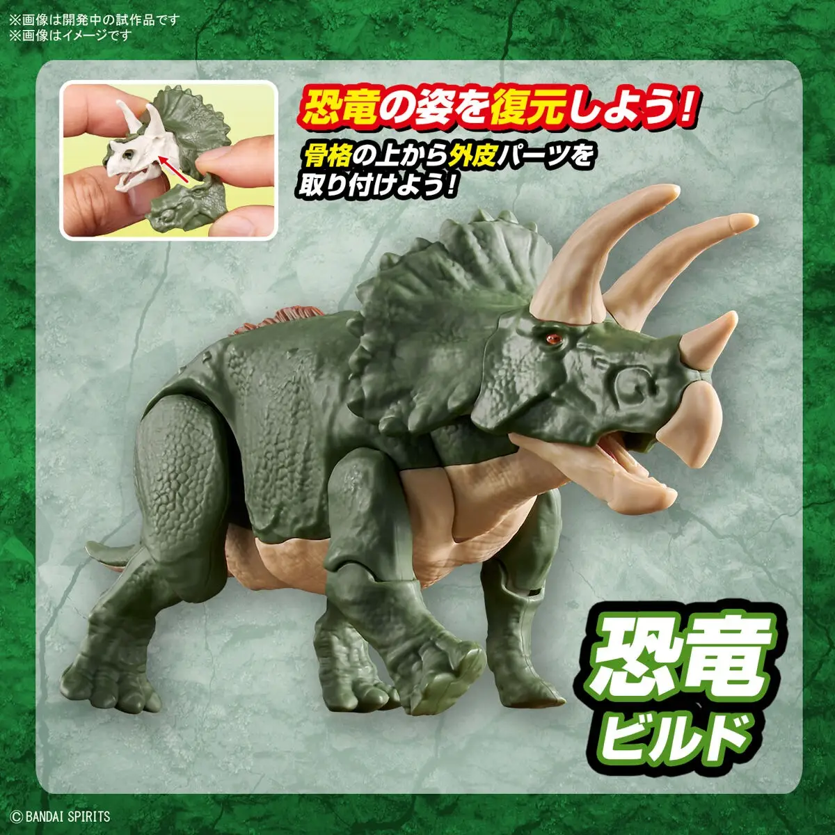 Mô hình lắp ráp khủng long Plannosaurus Triceratops - BANDAI