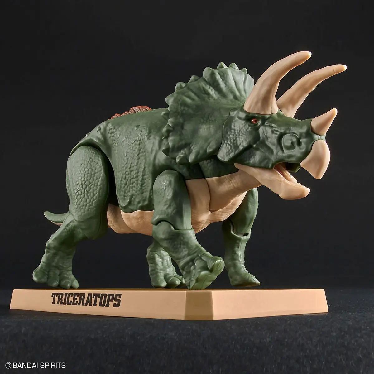 Mô hình lắp ráp khủng long Plannosaurus Triceratops - BANDAI