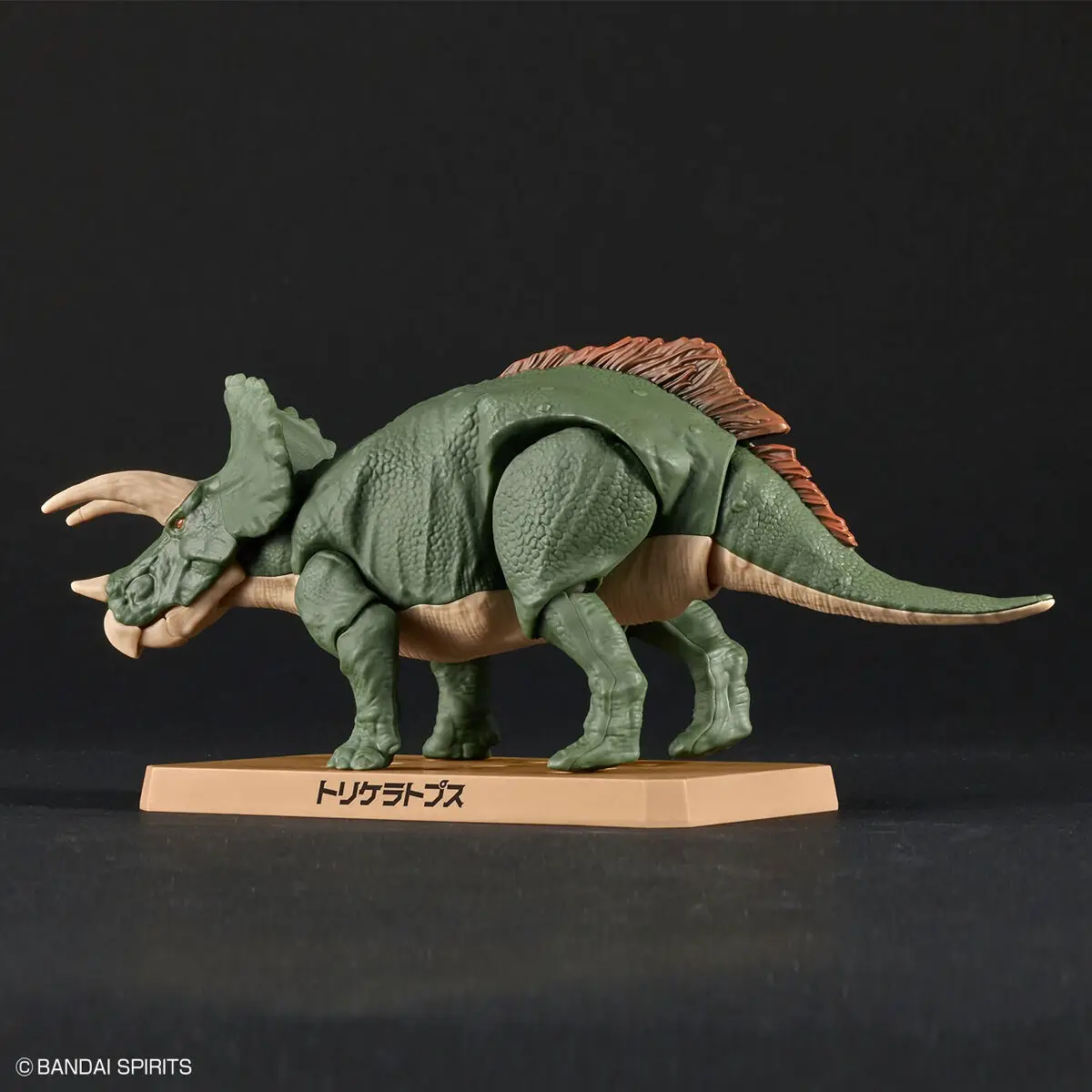 Mô hình lắp ráp khủng long Plannosaurus Triceratops - BANDAI