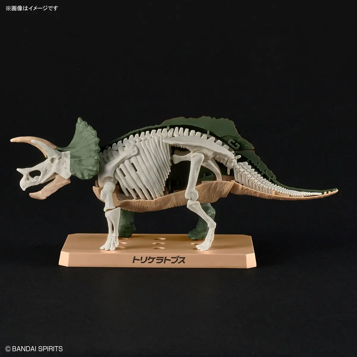 Mô hình lắp ráp khủng long Plannosaurus Triceratops - BANDAI