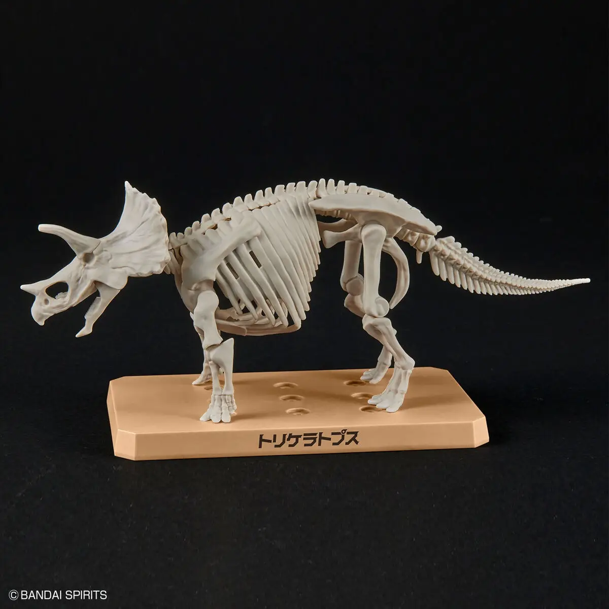 Mô hình lắp ráp khủng long Plannosaurus Triceratops - BANDAI