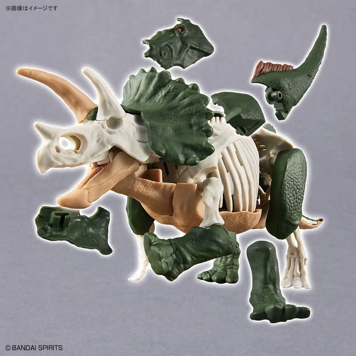 Mô hình lắp ráp khủng long Plannosaurus Triceratops - BANDAI