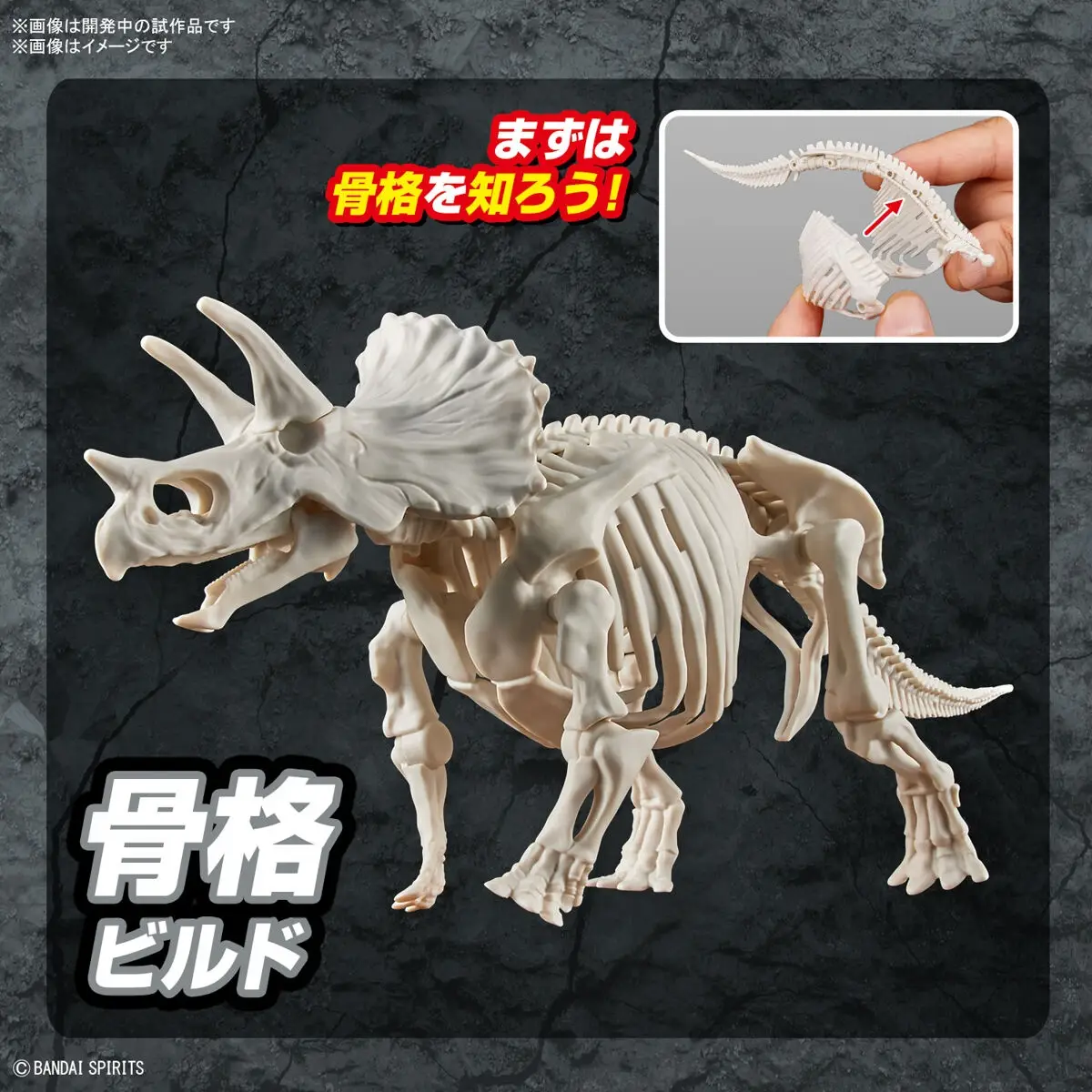 Mô hình lắp ráp khủng long Plannosaurus Triceratops - BANDAI