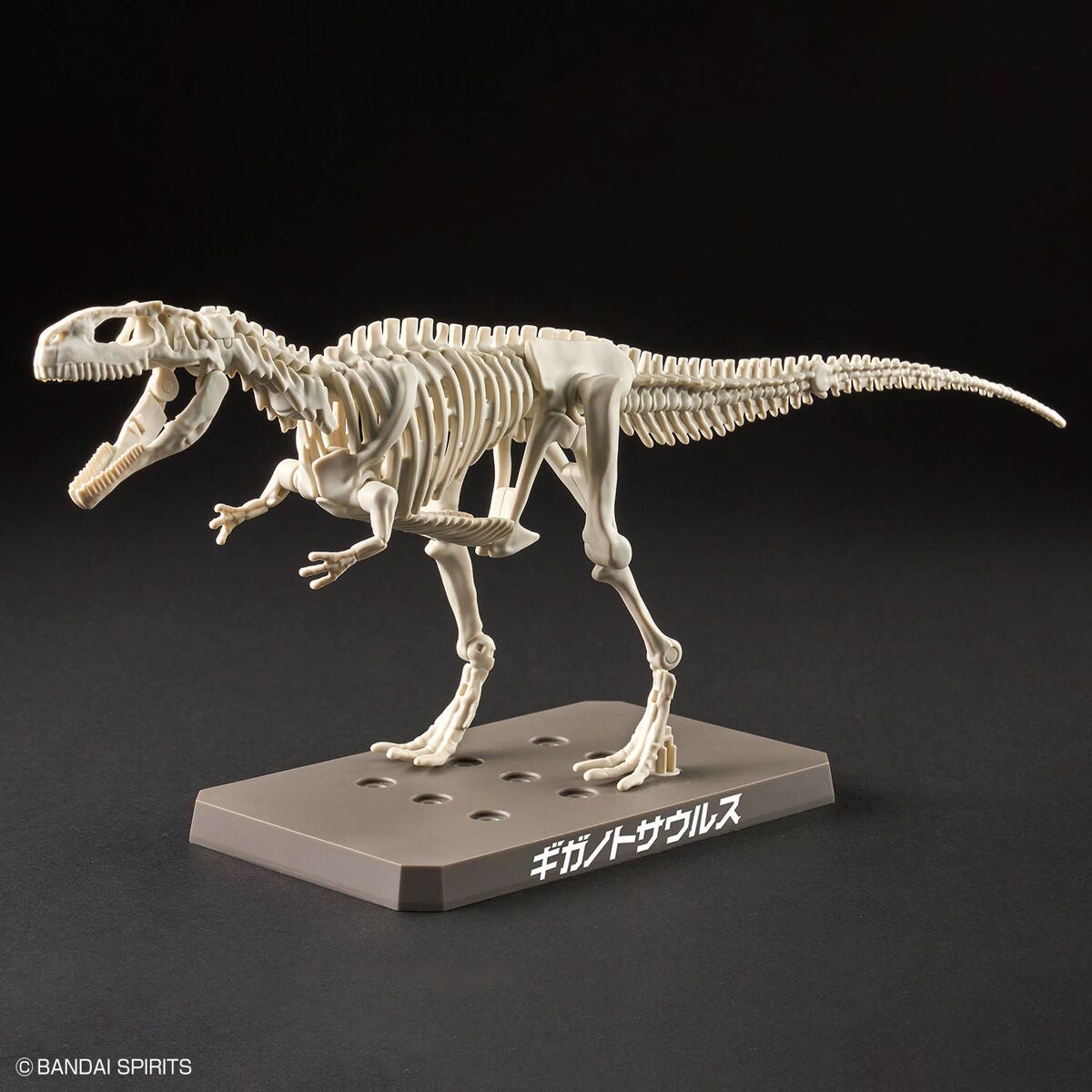 Mô hình lắp ráp khủng long Plannosaurus Giganotosaurus - BANDAI