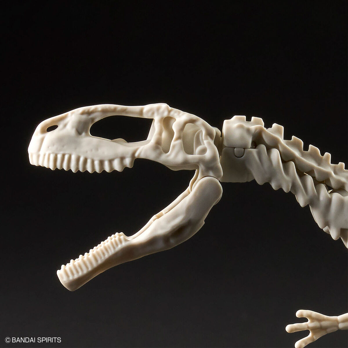 Mô hình lắp ráp khủng long Plannosaurus Giganotosaurus - BANDAI