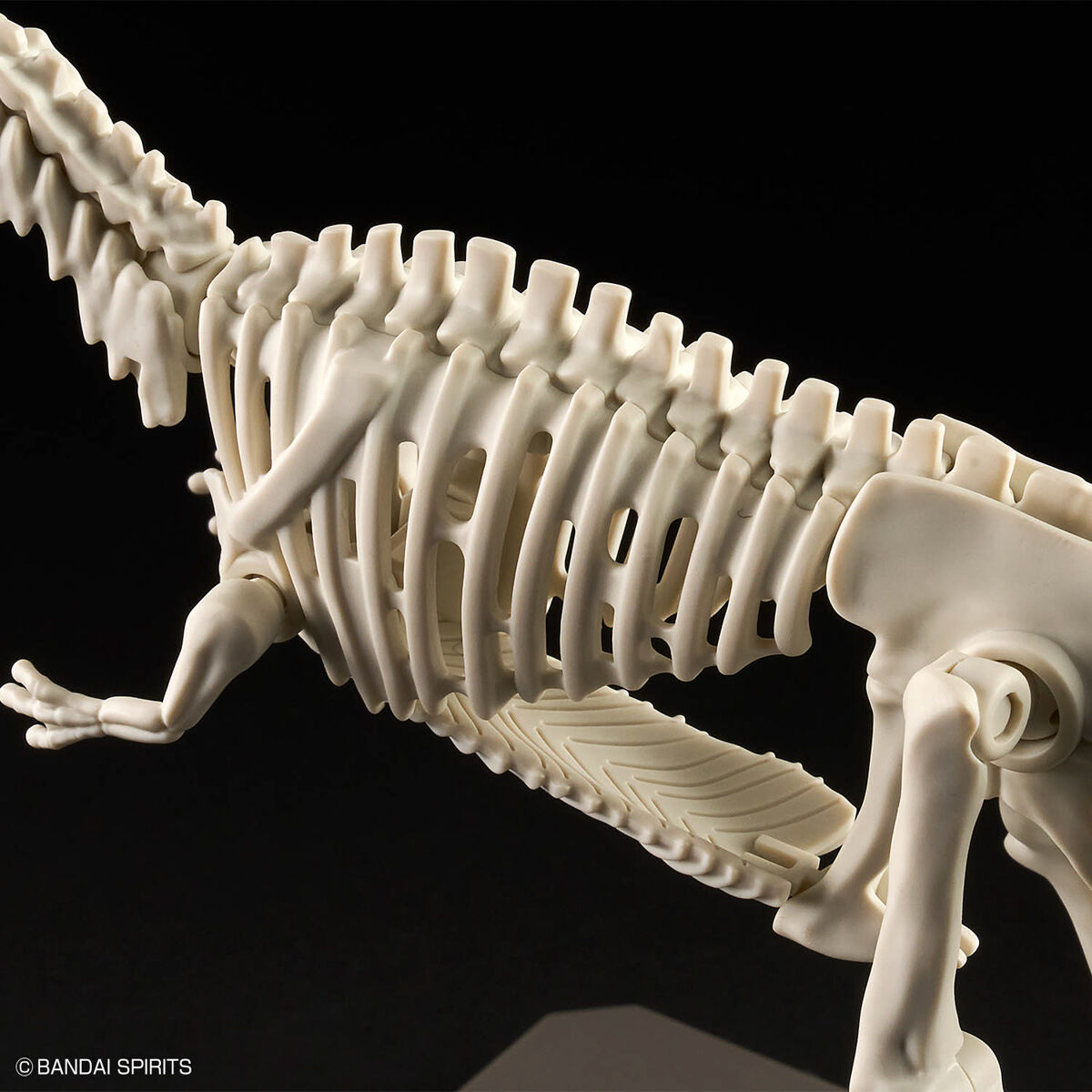 Mô hình lắp ráp khủng long Plannosaurus Giganotosaurus - BANDAI