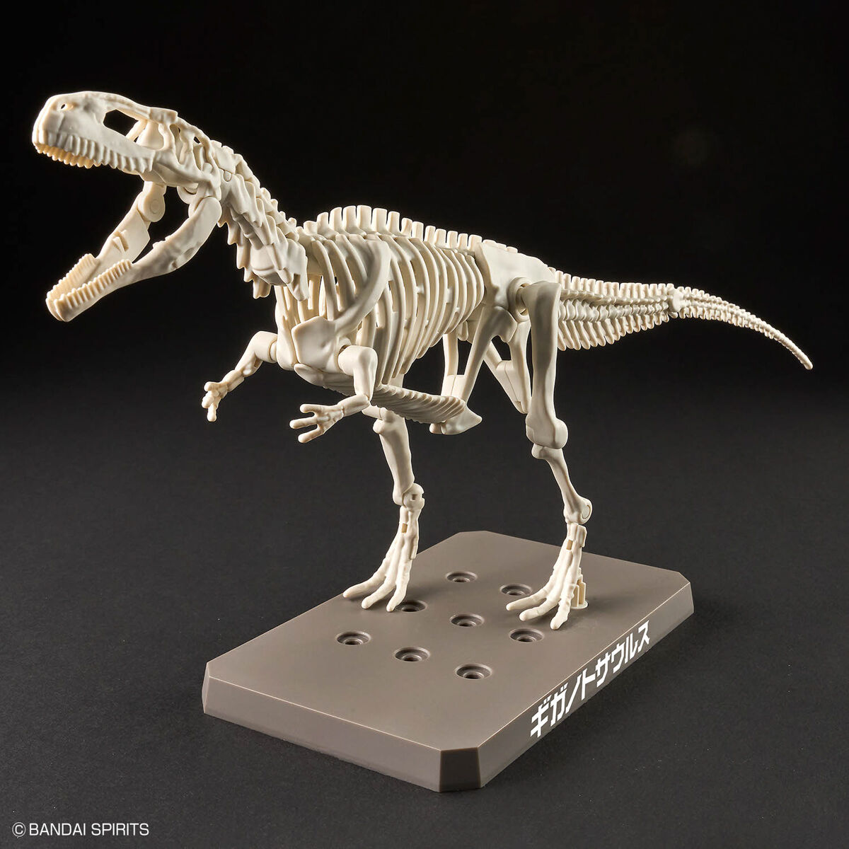 Mô hình lắp ráp khủng long Plannosaurus Giganotosaurus - BANDAI
