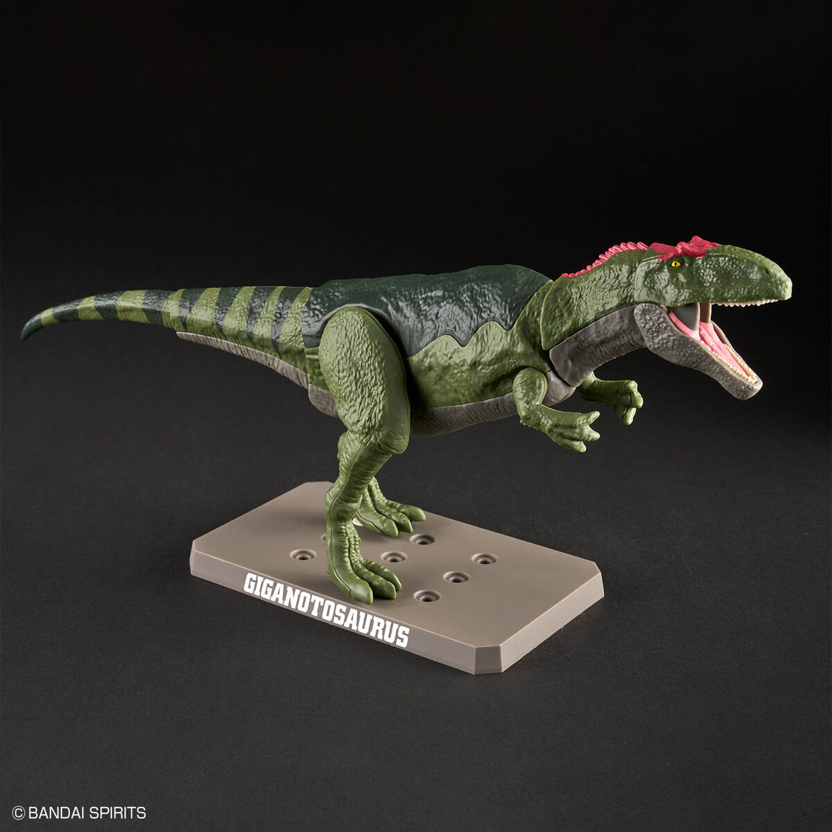 Mô hình lắp ráp khủng long Plannosaurus Giganotosaurus - BANDAI