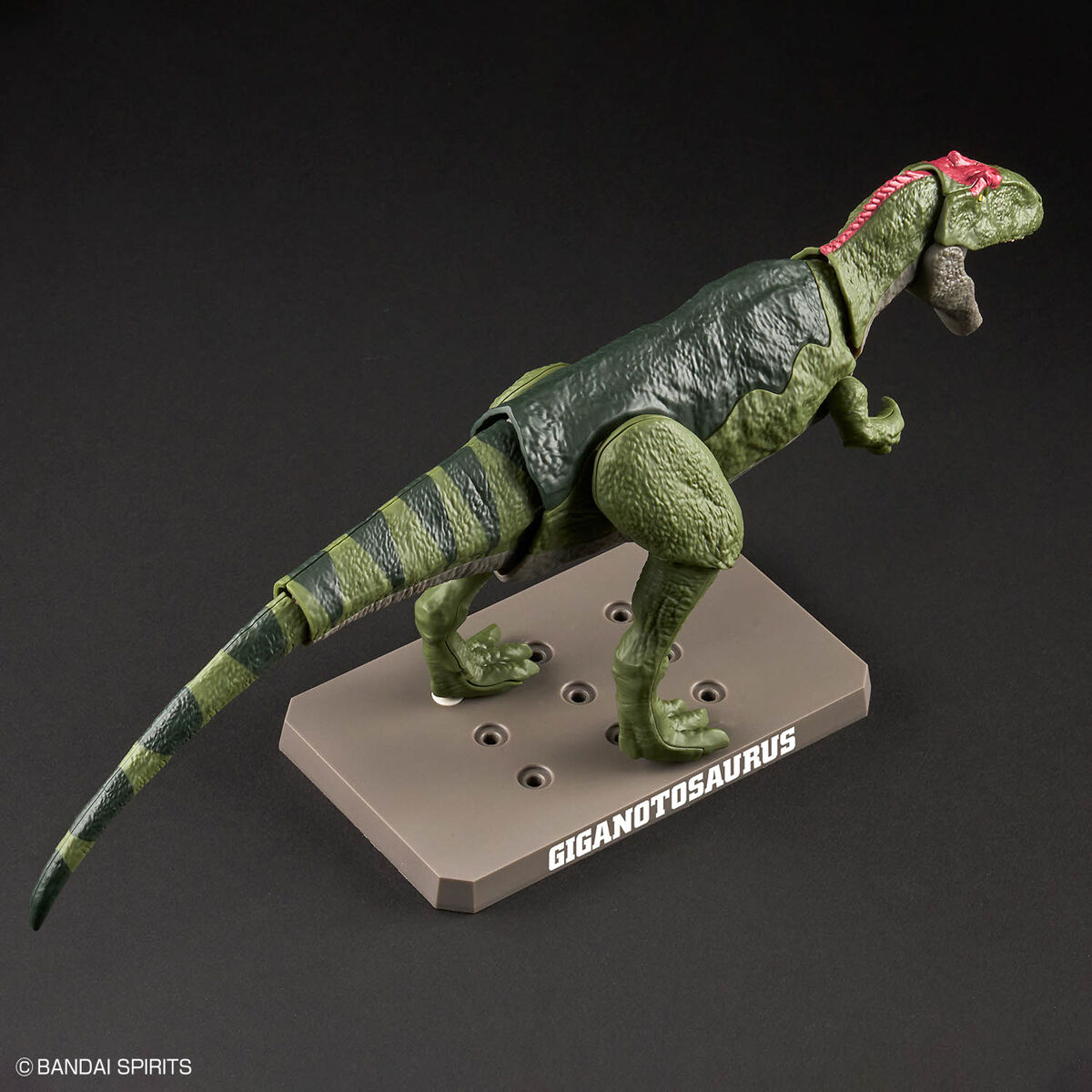 Mô hình lắp ráp khủng long Plannosaurus Giganotosaurus - BANDAI