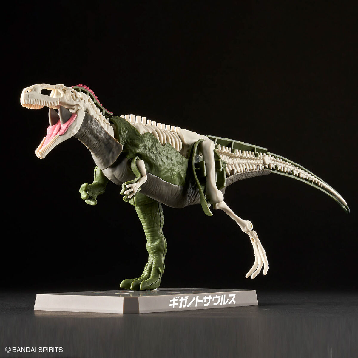 Mô hình lắp ráp khủng long Plannosaurus Giganotosaurus - BANDAI