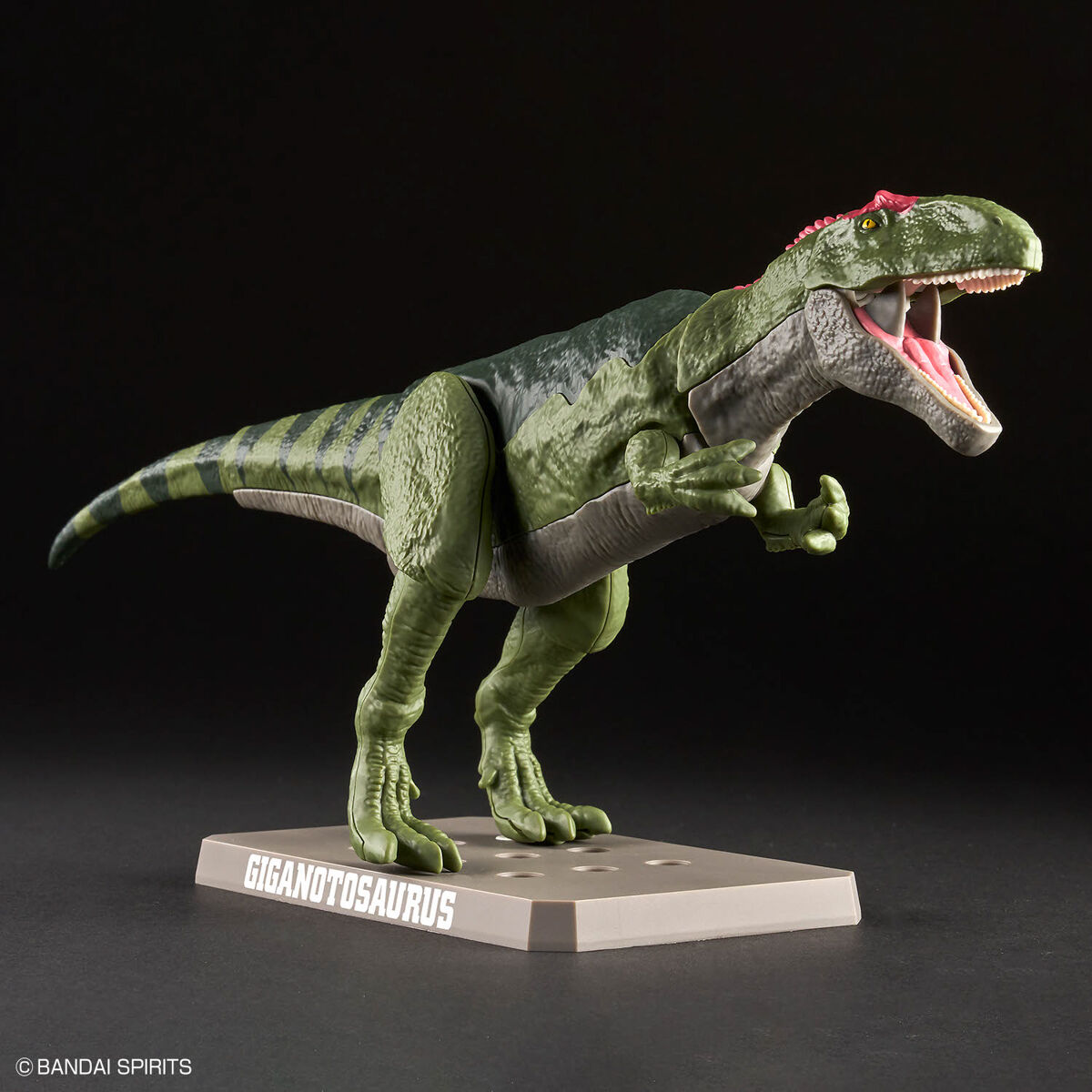 Mô hình lắp ráp khủng long Plannosaurus Giganotosaurus - BANDAI