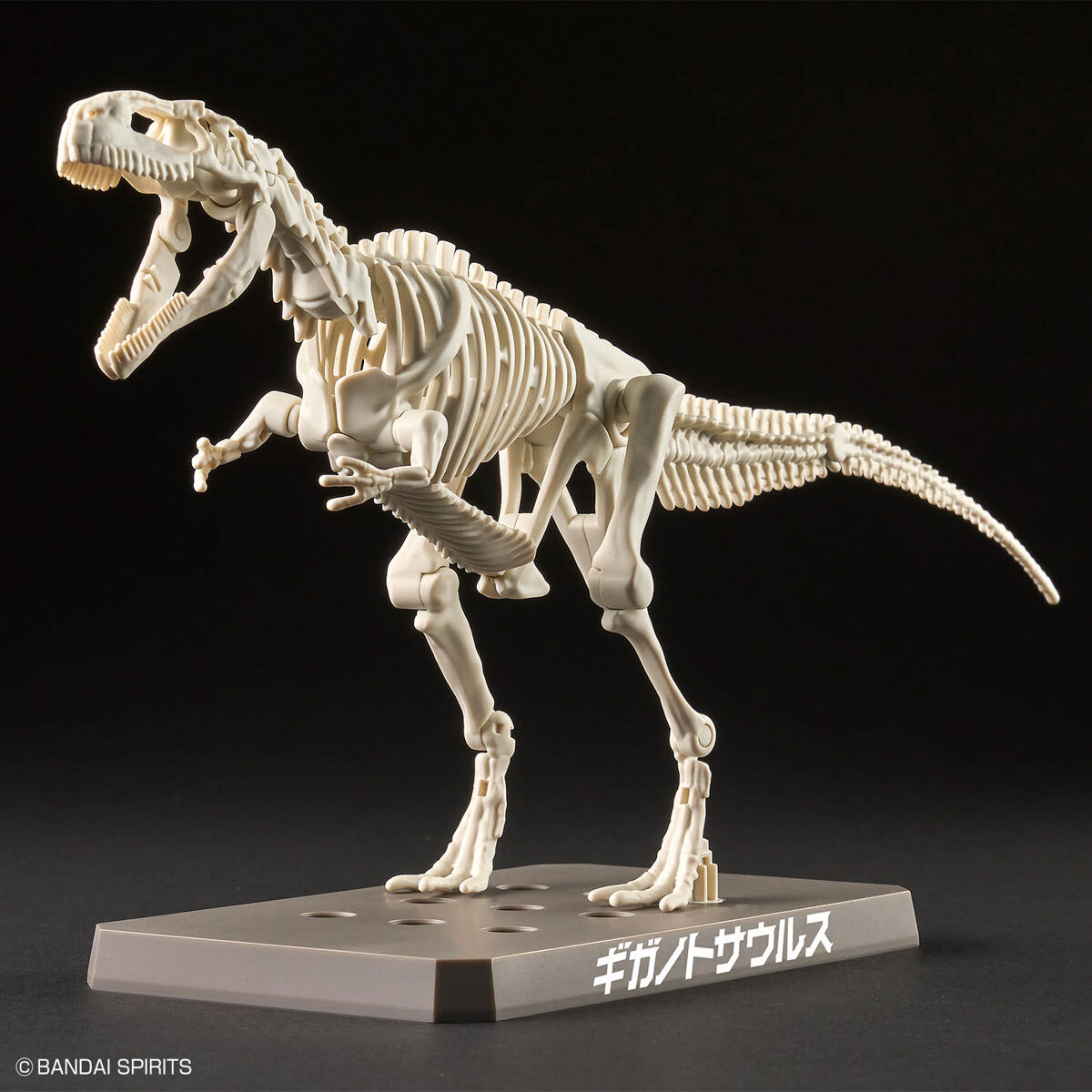 Mô hình lắp ráp khủng long Plannosaurus Giganotosaurus - BANDAI