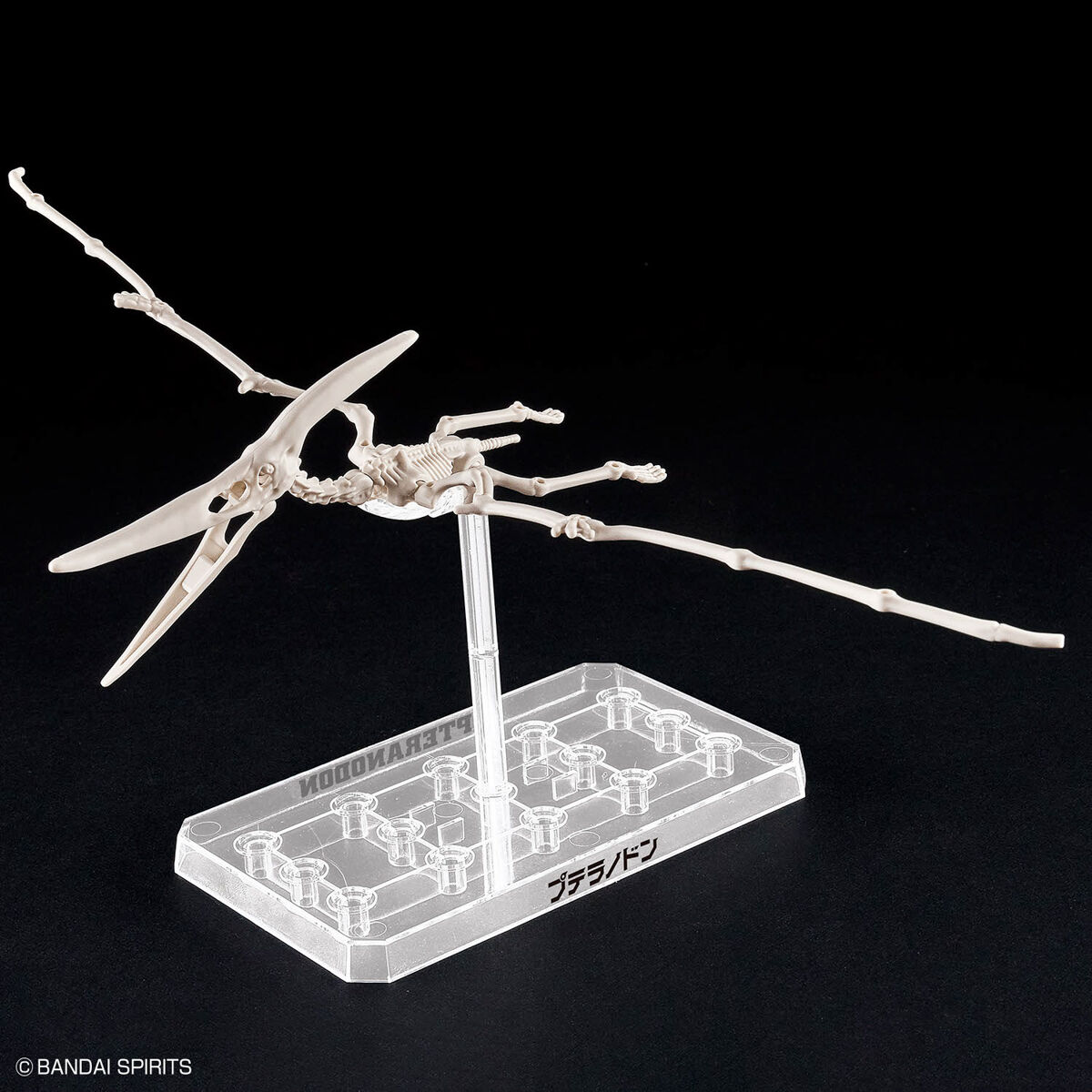 Mô hình lắp ráp khủng long Plannosaurus Pteranodon - BANDAI