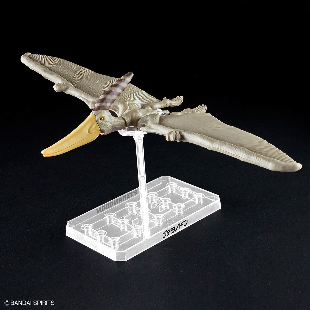 Mô hình lắp ráp khủng long Plannosaurus Pteranodon - BANDAI