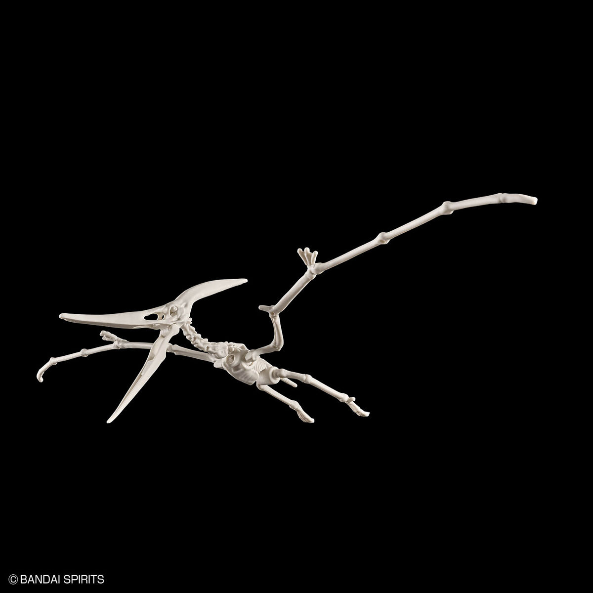 Mô hình lắp ráp khủng long Plannosaurus Pteranodon - BANDAI
