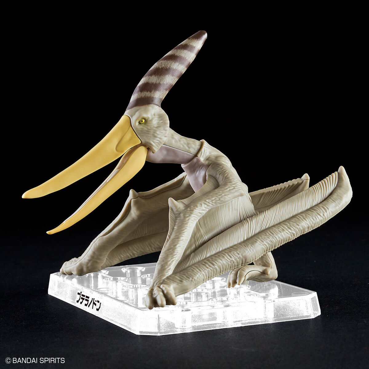Mô hình lắp ráp khủng long Plannosaurus Pteranodon - BANDAI