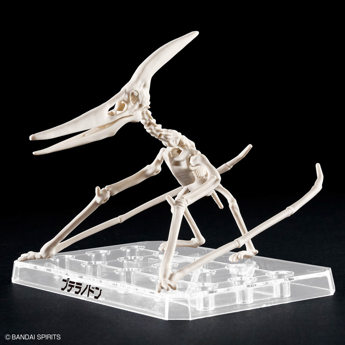 Mô hình lắp ráp khủng long Plannosaurus Pteranodon - BANDAI
