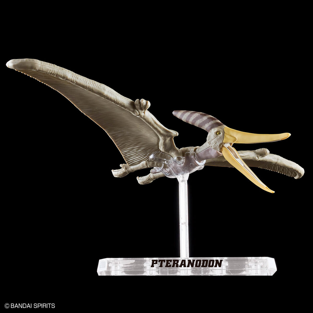 Mô hình lắp ráp khủng long Plannosaurus Pteranodon - BANDAI