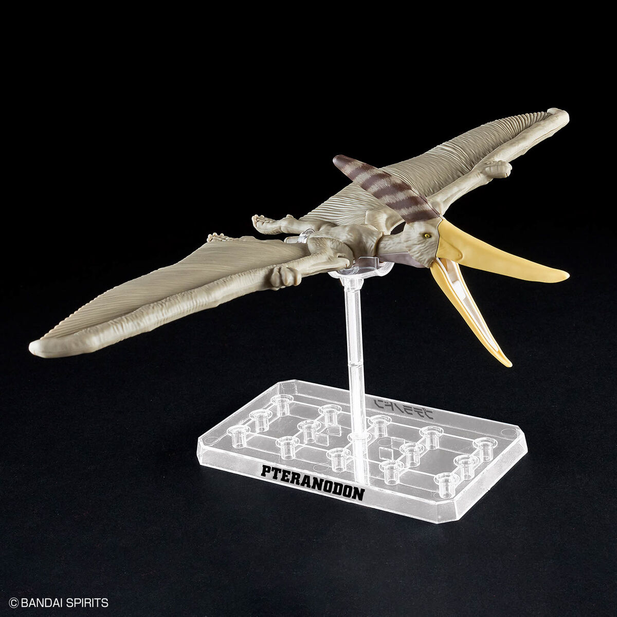 Mô hình lắp ráp khủng long Plannosaurus Pteranodon - BANDAI