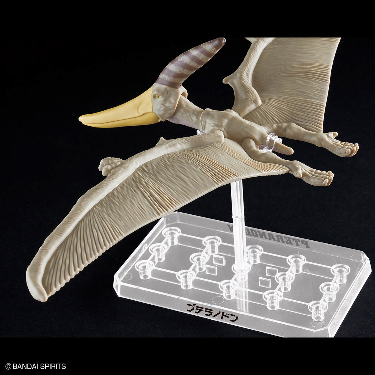Mô hình lắp ráp khủng long Plannosaurus Pteranodon - BANDAI