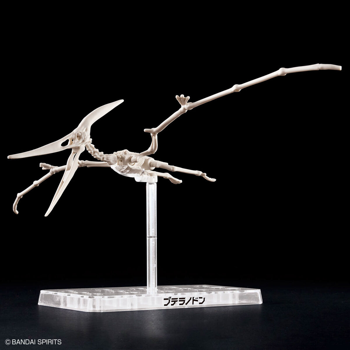 Mô hình lắp ráp khủng long Plannosaurus Pteranodon - BANDAI