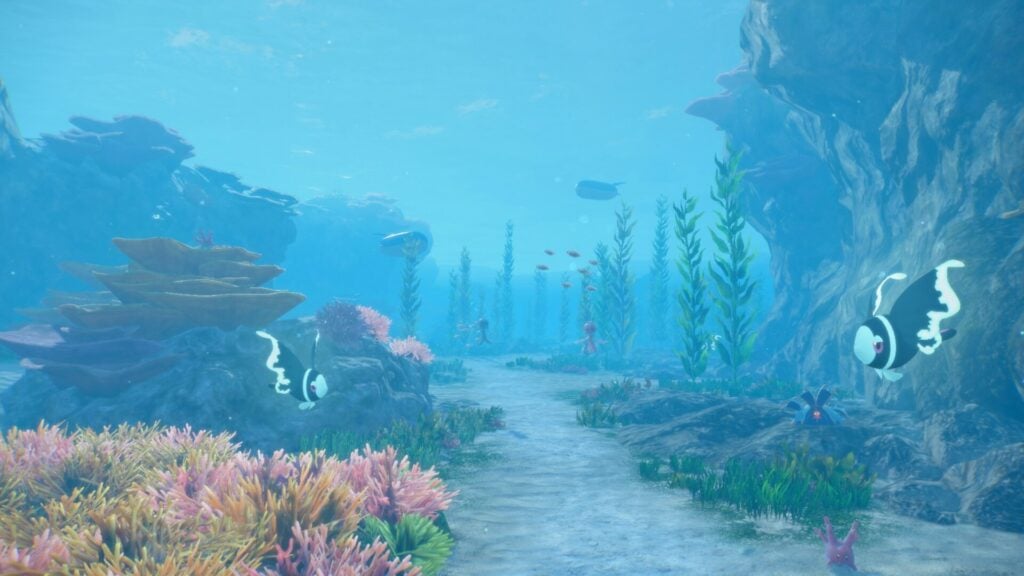 Tất Tần Tật Thông Tin Đầu Tiên Về Pokémon Sóng Và Gió Trên Switch 2